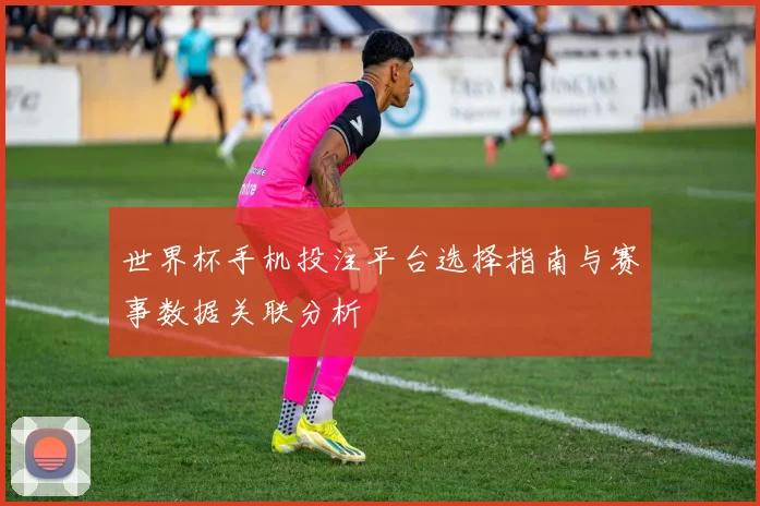 世界杯手机投注平台选择指南与赛事数据关联分析