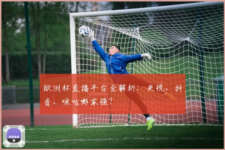 欧洲杯直播平台全解析：央视、抖音、咪咕哪家强？